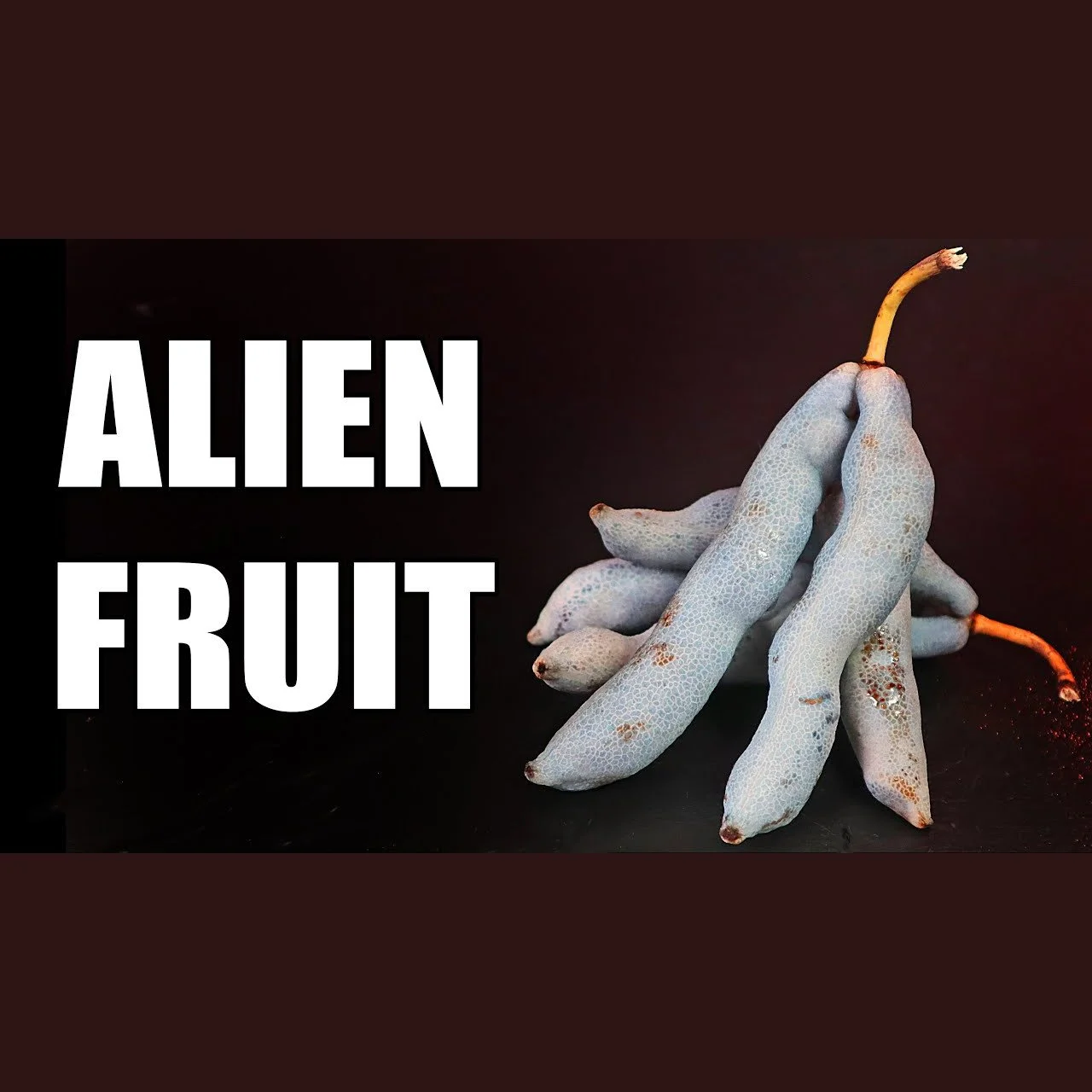 FRUiTS 157号〜161号、173号 Dead Man's Fingers: Alien Looking Fruit With a Surprising Flavor